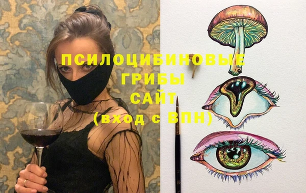 гидропоника Аркадак