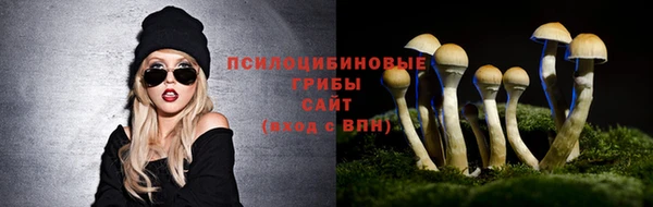 гидропоника Аркадак
