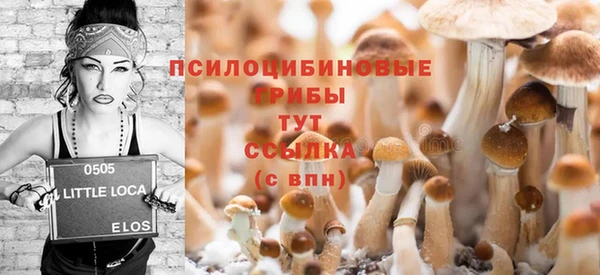 дмт Армянск